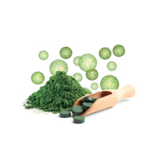 BIO hover-chlorella-pig