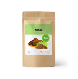 BIO Chaga - polvere