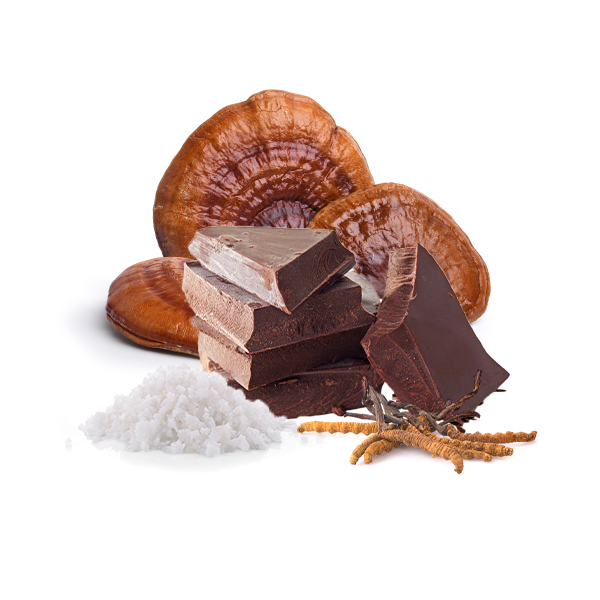 Cioccolato invernale con Cordyceps, Reishi di sale